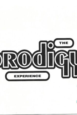 the prodigy - experience